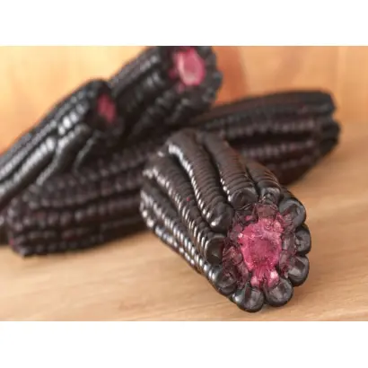 TCHOURI / ЧОУРІ