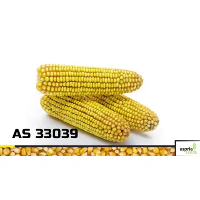 AS 13320 / АС 13320