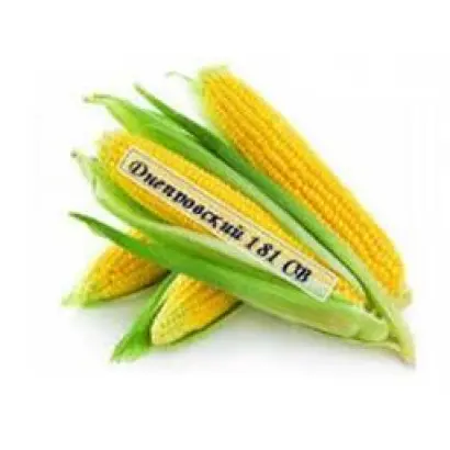 AS 33008 / АС 33008