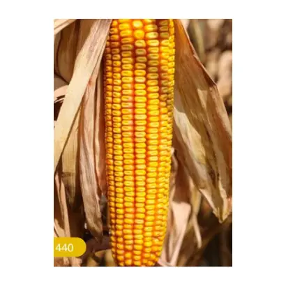 Атлант 400 МВ