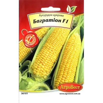 BAGROWO / БАГРОВО