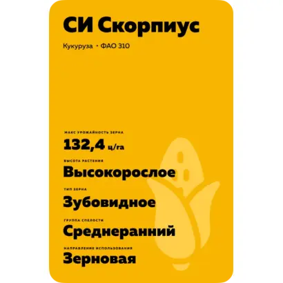 Борисфен 430 АМВ