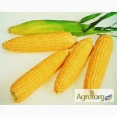 Борозенський 277 СВ / Борозенський 277 МВ