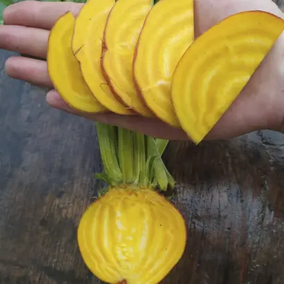 GOLDENEYE / ГОЛДЕНАЙ