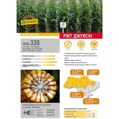 Juxxin / Джуксін