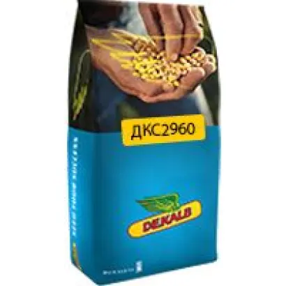 DКС 2960 / ДКС 2960