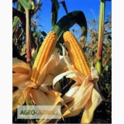 DKC 3871 / ДКС 3871