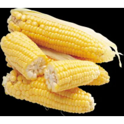 DKC2870 / ДКС2870