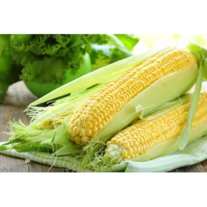 Днепровскый 187 МВ / Дніпровский 187 МВ