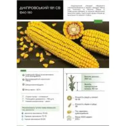 Днепровский 145 МВ / Дніпровський 145 МВ