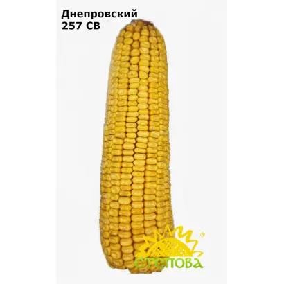 Дніпровський 223 СВ