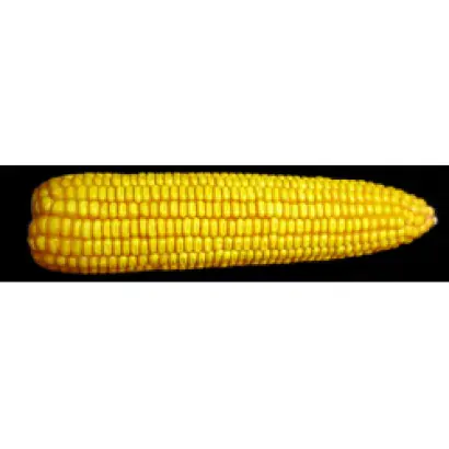 Днепровский 310 МВ / Дніпровський 310 МВ