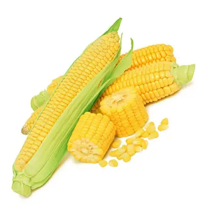 Днепровский 425 МВ / Дніпровський 425 МВ