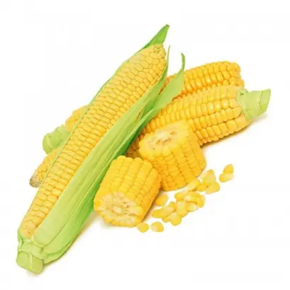 Днепровский 476 МВ / Дніпровський 476 МВ