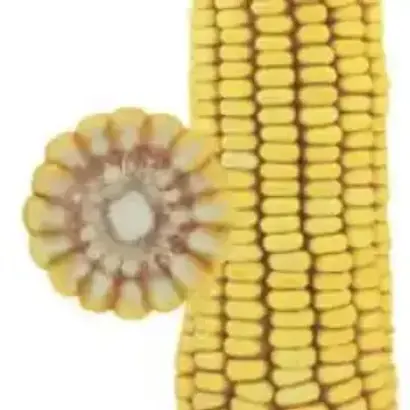 Энзо (Р 220) / Ензо