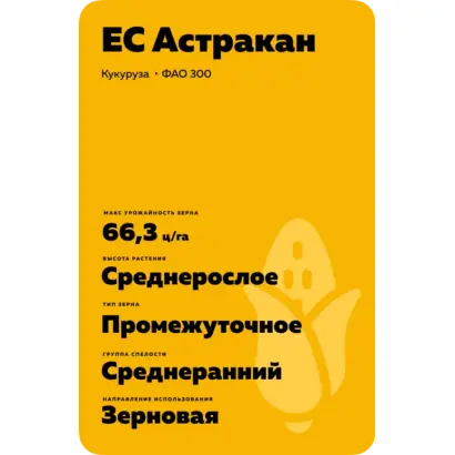 ES Astrakan / ЕС Астракан