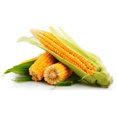 ES BIGDAY / ЕС БІГДЕЙ