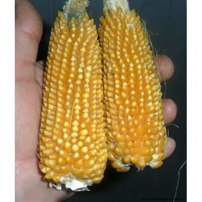 ES VULCAIN / ЕС ВУЛКАН