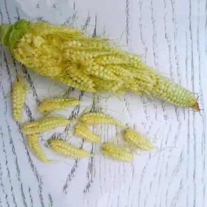 ES Diademe / ЕС Діадема