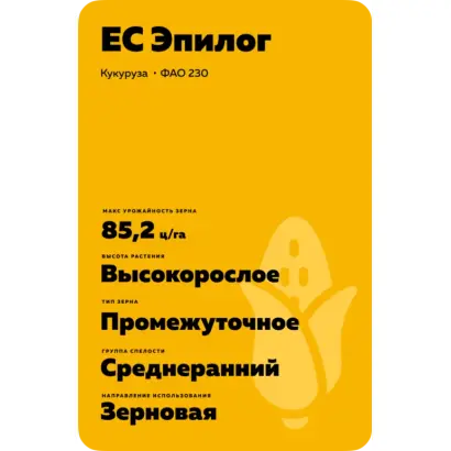 ES EPILOG / ЕС ЕПІЛОГ
