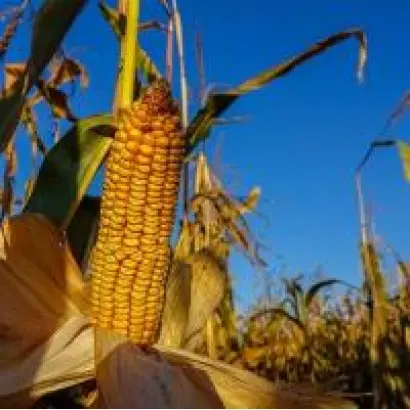 ES FRANKLIN / ЕС ФРАНКЛІН