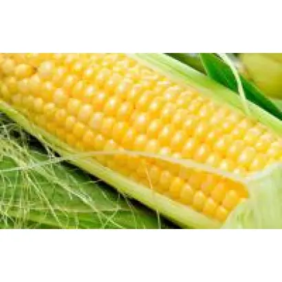 Злагода МВ / Злагода МВ