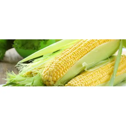 Sucosta / Зукоста