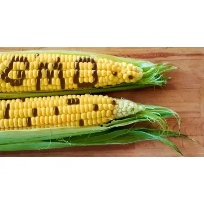 Kanada / Канада