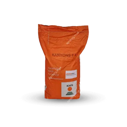 KANYONS / КАНЬЙОНС