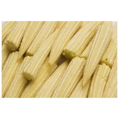 Kuartal / Квартал