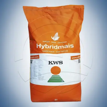 KWS DYNAMO / КВС ДИНАМО