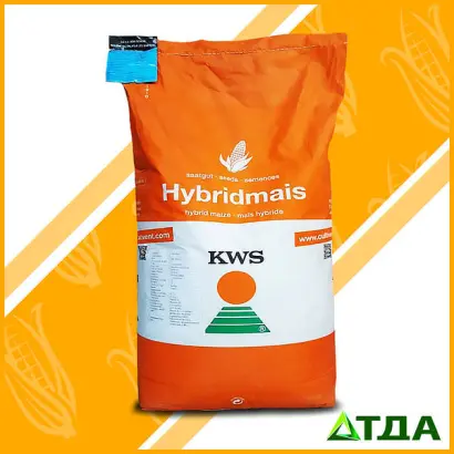 Kinemas / Кінемас