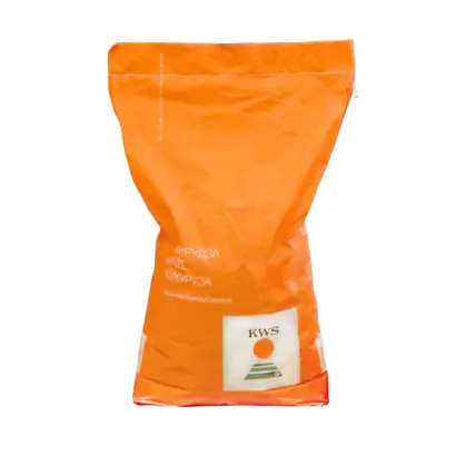 Kiness / Кінесс