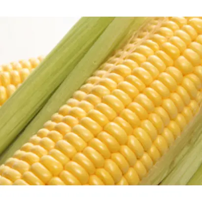 Криничанський 257 СВ