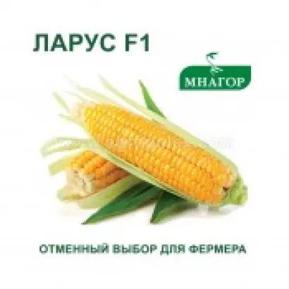 Laureen / Лаурін