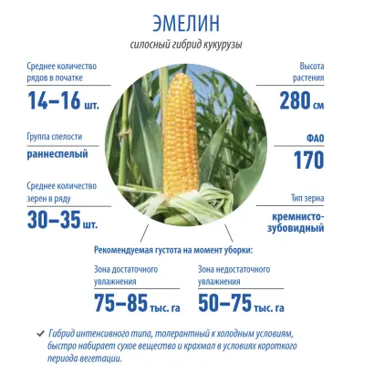 LG 25.10 / ЛГ 25.10
