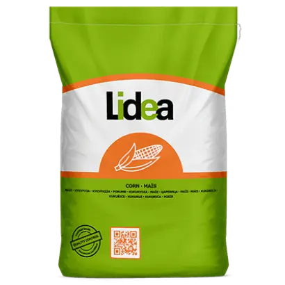 Lidano / Лідано