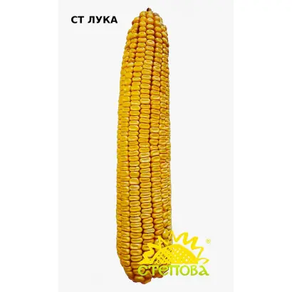 LIKORN / ЛІКОРН