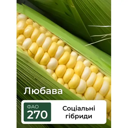 Loubazi CS / Лубазі КС