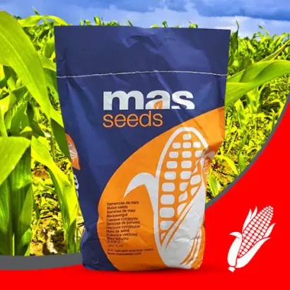 LUKAKU / ЛУКАКУ