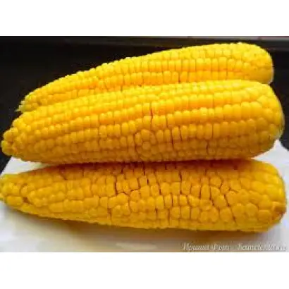 MAS 39T / МАС 39Т