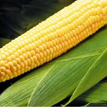 MAS 40F / МАС 40Ф