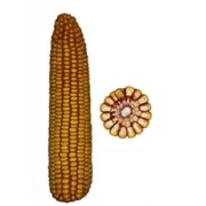 Мотрин 178 СВ