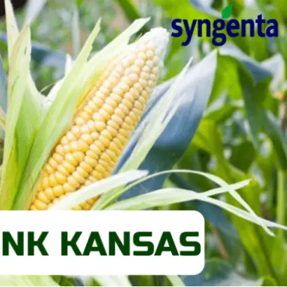 NK Kansas / НК Канзас