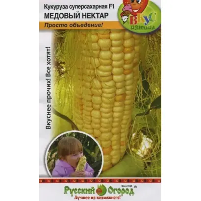 NK Nekta / НК Некта