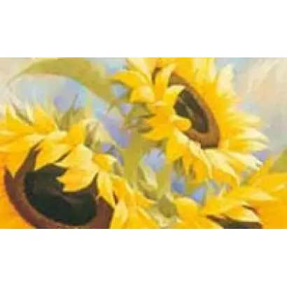 NK Olimpic / НК Олімпік