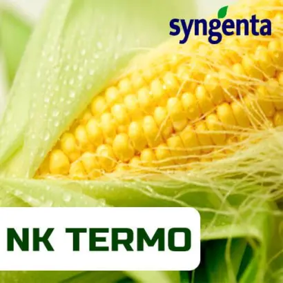 NK Timic / НК Тімік