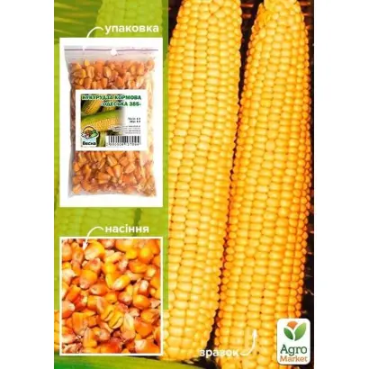 Одесская 10 / Одеський 10