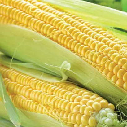 Одесский 480 МВ / Одеський 480 МВ