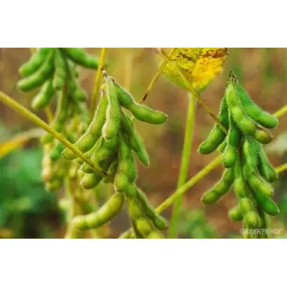 Oldham / Олдхем